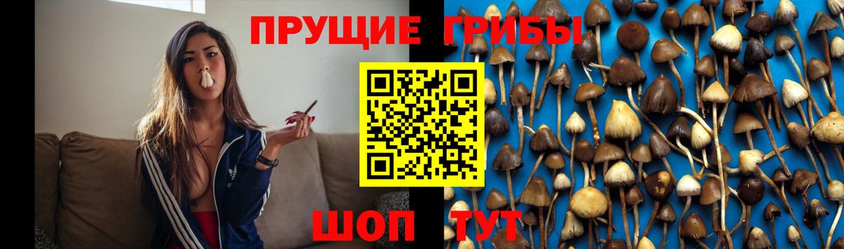Ликино-Дулёво  Галлюциногенные грибы Psilocybine cubensis  Вход с VPN 